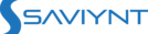 Logo of the IPG partner Saviynt
